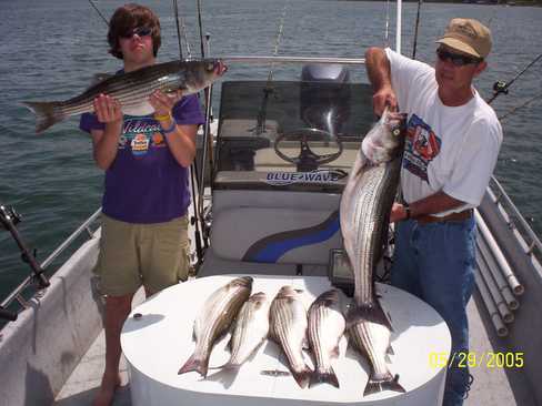 Nice Striped Bass