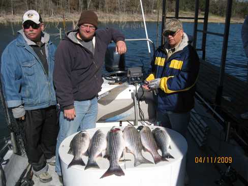 Nice Striped Bass