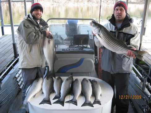 Nice Striped Bass