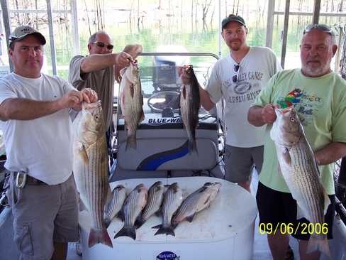 Nice Striped Bass