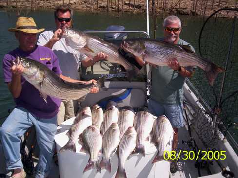 Nice Striped Bass