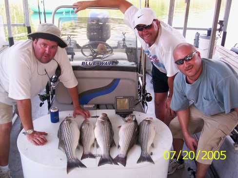 Nice Striped Bass