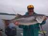(05/14/2004) - Nice Striped Bass