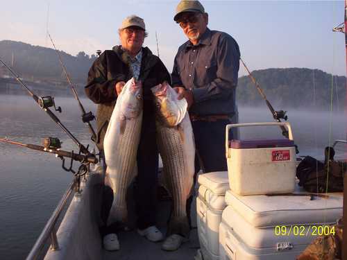 Now that is a Hog Striper