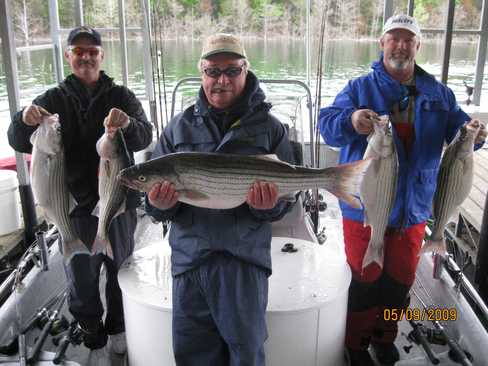 Nice Striped Bass