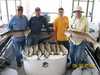 (06/05/2008) - Nice Striped Bass