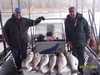 (04/09/2004) - Nice Striped Bass