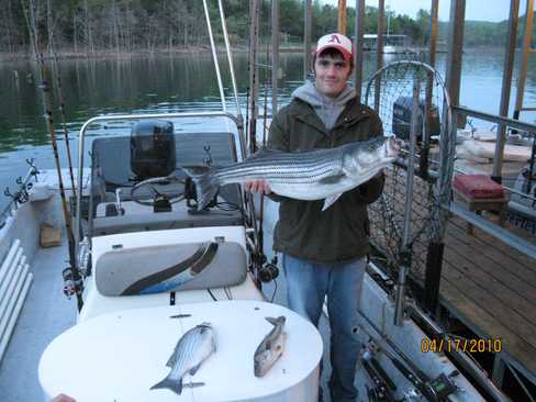 Nice Striped Bass