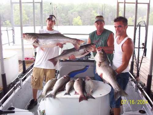 Excellent Striper Fishing