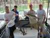 (08/05/2009) - Nice Striped Bass