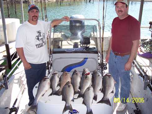 Nice Striped Bass