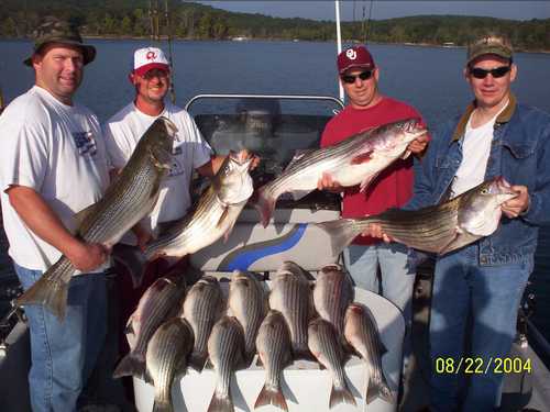 Nice Striped Bass