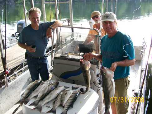 Nice Striped Bass