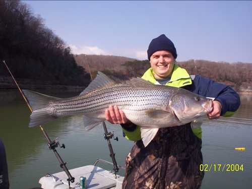 Nice Striped Bass