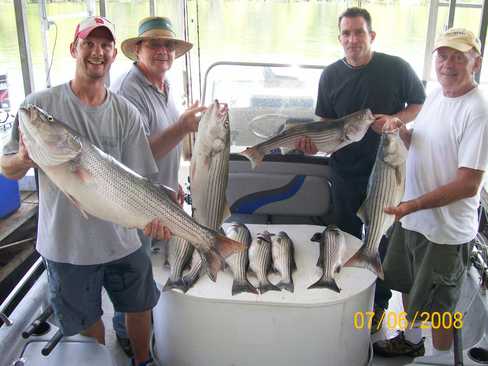 Nice Striped Bass