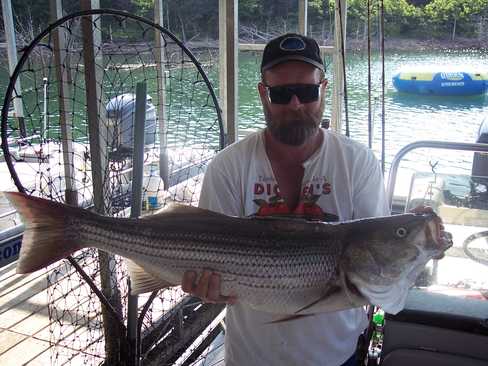 Nice Striped Bass