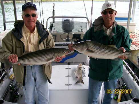 Nice Striped Bass