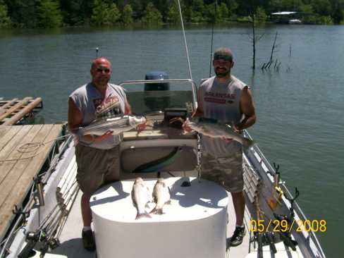 Nice Striped Bass