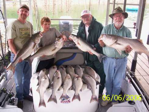 Nice Striped Bass