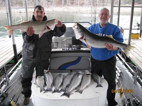 Nice Striped Bass