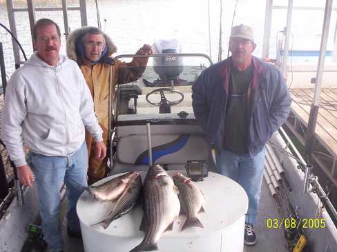 Nice Striped Bass