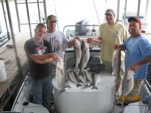 Nice Striped Bass