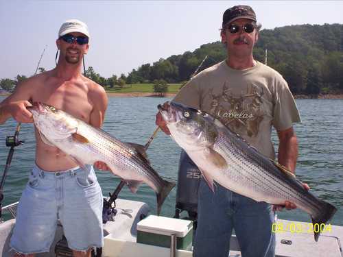 Nice Striped Bass