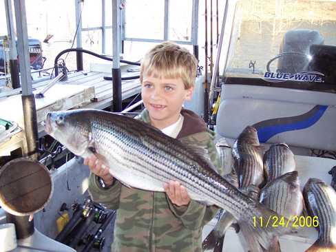 Nice Striped Bass