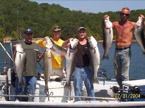 Nice Striped Bass