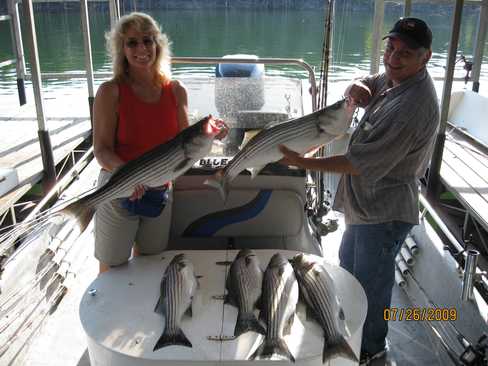 Nice Striped Bass