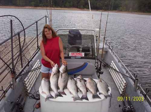 Excellent Striper Fishing