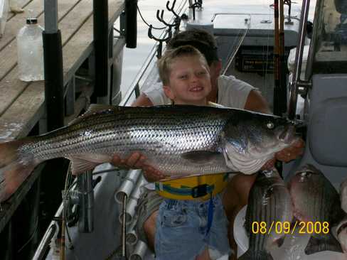 Nice Striped Bass