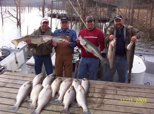 Nice mess of Stripers