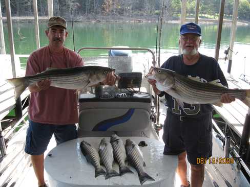 Nice Striped Bass