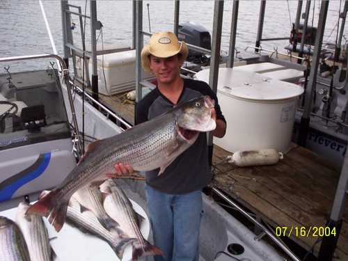 Nice Striped Bass