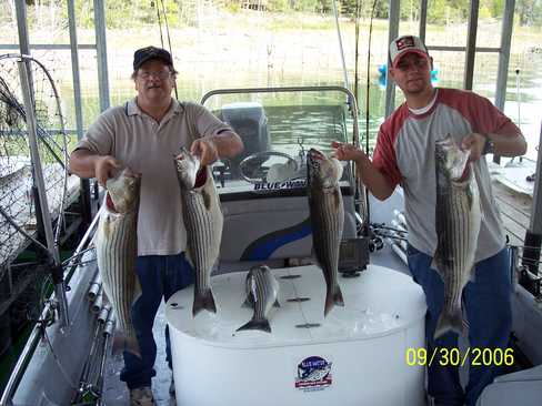 Nice Striped Bass