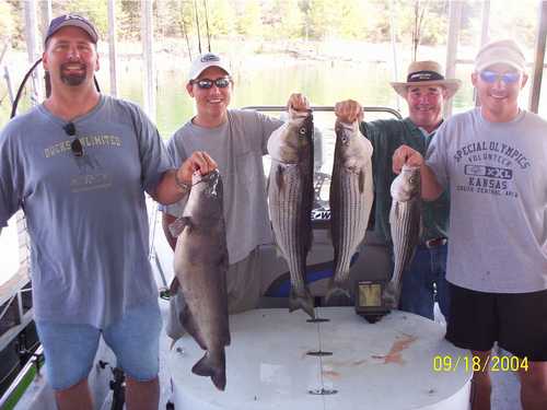 Nice Striped Bass