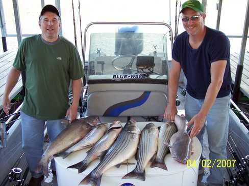 Nice Striped Bass