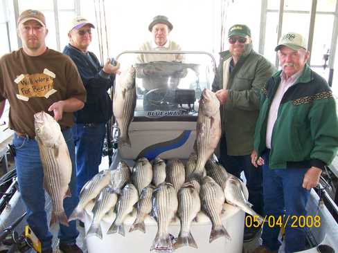 Nice Striped Bass