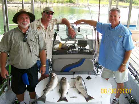 Nice Striped Bass