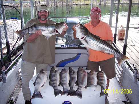 Nice Striped Bass