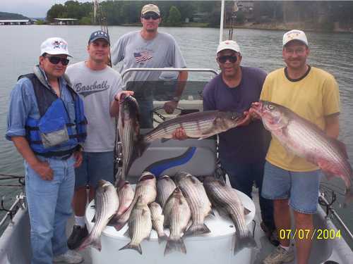 Nice Striped Bass