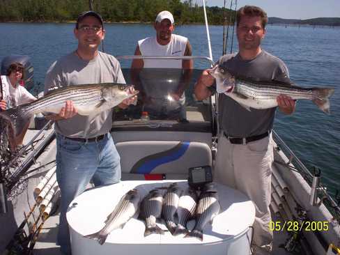 Nice Striped Bass