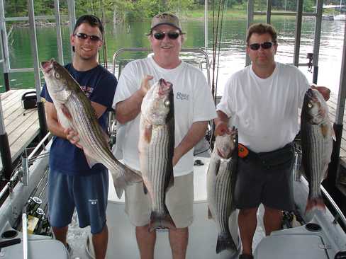 Nice Striped Bass