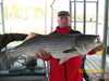 (02/25/2008) - Nice Striped Bass