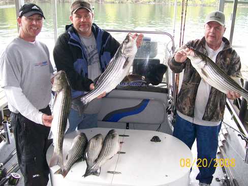 Nice Striped Bass