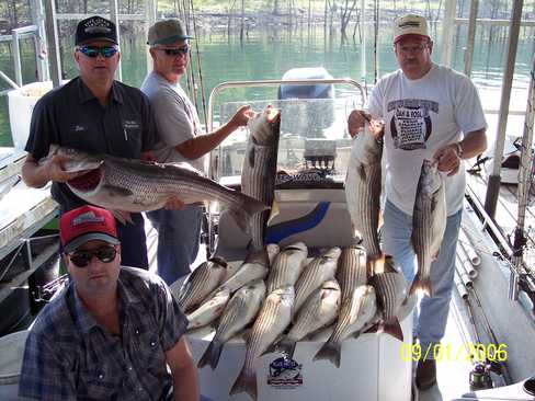 Nice Striped Bass