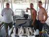 (08/03/2009) - Nice Striped Bass