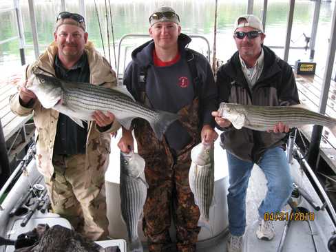 Nice Striped Bass