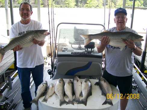 Nice Striped Bass